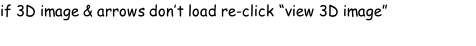 if 3D image & arrows don’t load re-click “view 3D image”